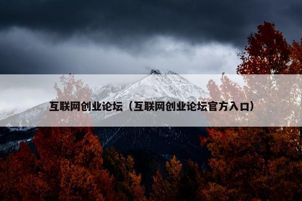 互联网创业论坛（互联网创业论坛官方入口）