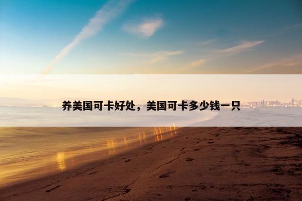 养美国可卡好处，美国可卡多少钱一只