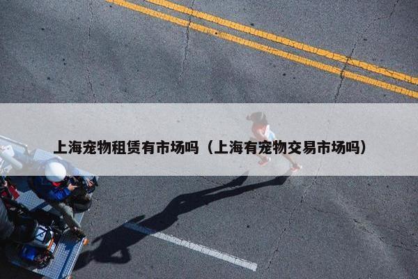 上海宠物租赁有市场吗（上海有宠物交易市场吗）