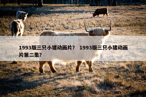 1993版三只小猪动画片？ 1993版三只小猪动画片第二集？