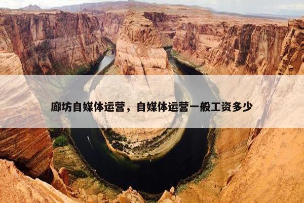 廊坊自媒体运营，自媒体运营一般工资多少
