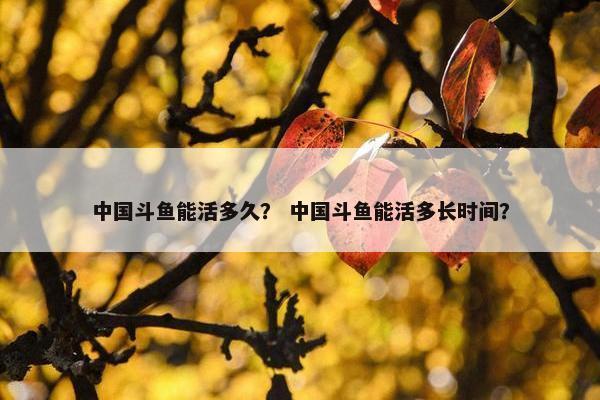 中国斗鱼能活多久？ 中国斗鱼能活多长时间？