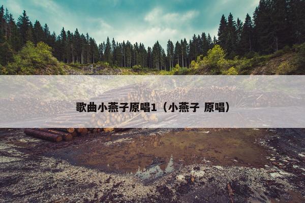 歌曲小燕子原唱1（小燕子 原唱）