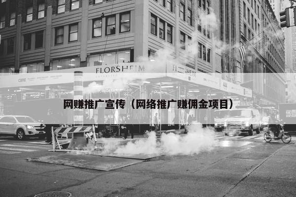 网赚推广宣传（网络推广赚佣金项目）
