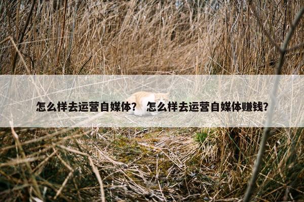怎么样去运营自媒体？ 怎么样去运营自媒体赚钱？