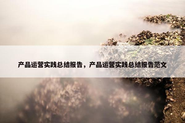 产品运营实践总结报告，产品运营实践总结报告范文