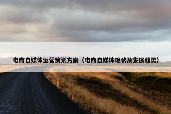 电商自媒体运营策划方案（电商自媒体现状及发展趋势）