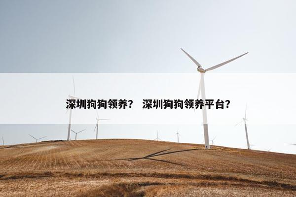深圳狗狗领养？ 深圳狗狗领养平台？
