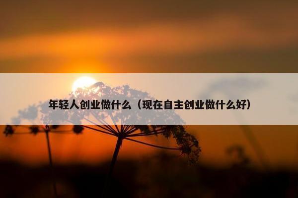 年轻人创业做什么（现在自主创业做什么好）