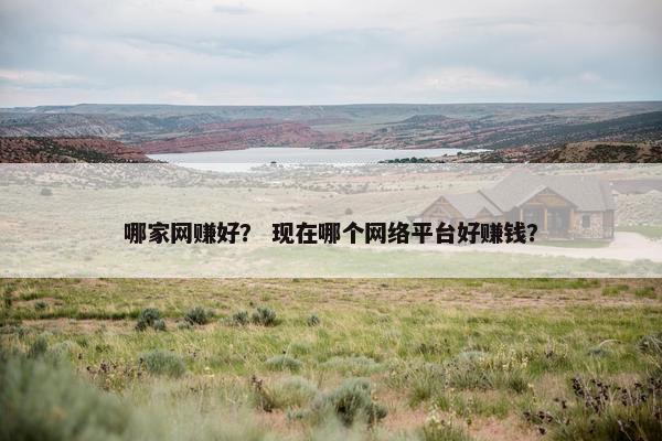 哪家网赚好？ 现在哪个网络平台好赚钱？