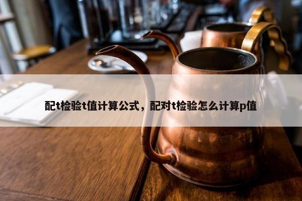 配t检验t值计算公式，配对t检验怎么计算p值