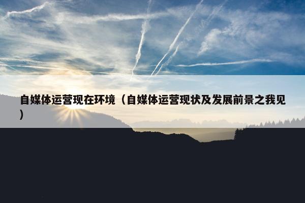 自媒体运营现在环境（自媒体运营现状及发展前景之我见）