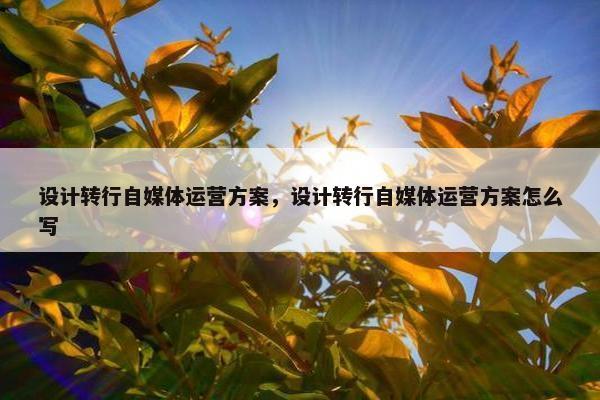 设计转行自媒体运营方案，设计转行自媒体运营方案怎么写