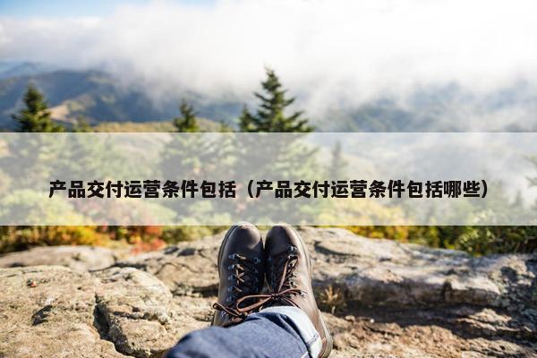 产品交付运营条件包括（产品交付运营条件包括哪些）