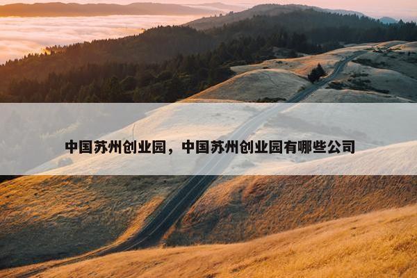 中国苏州创业园，中国苏州创业园有哪些公司