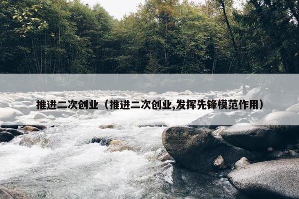 推进二次创业（推进二次创业,发挥先锋模范作用）