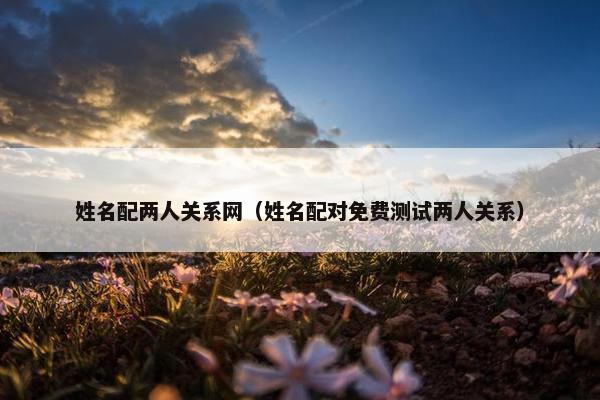 姓名配两人关系网（姓名配对免费测试两人关系）