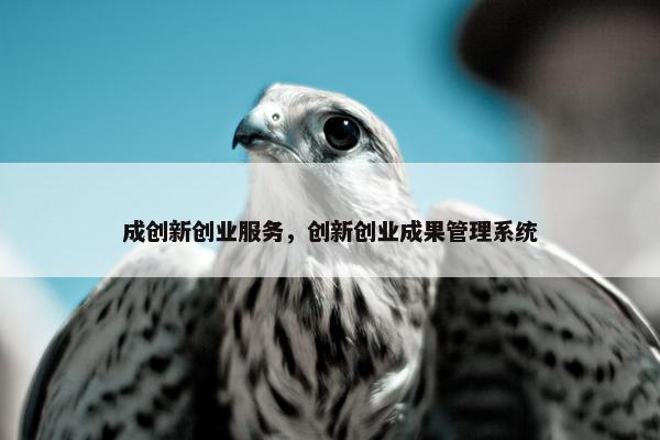 成创新创业服务，创新创业成果管理系统