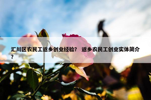 汇川区农民工返乡创业经验？ 返乡农民工创业实体简介？