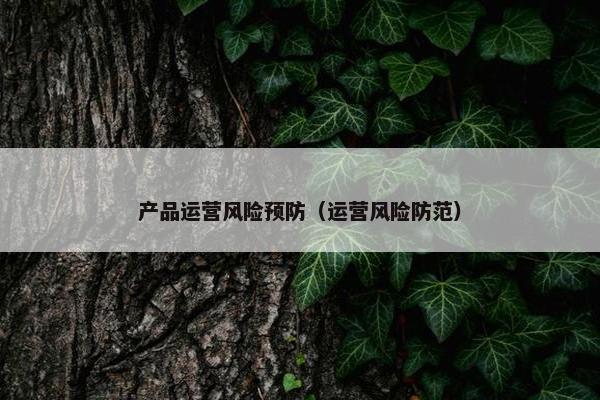 产品运营风险预防（运营风险防范）