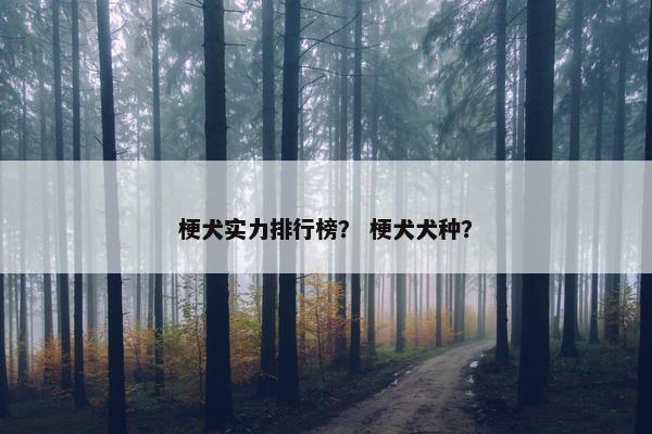 梗犬实力排行榜？ 梗犬犬种？