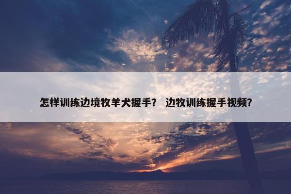 怎样训练边境牧羊犬握手？ 边牧训练握手视频？