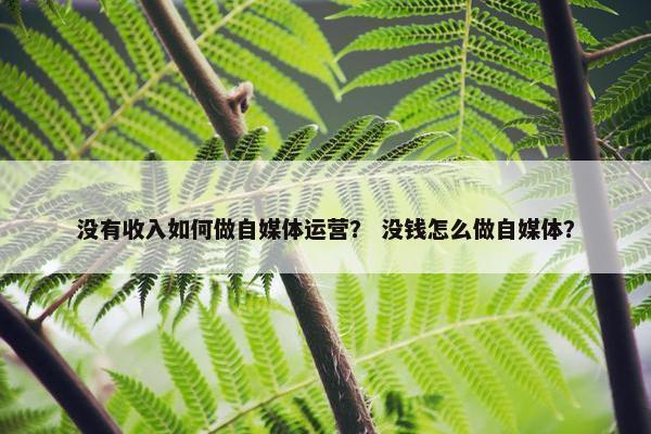 没有收入如何做自媒体运营？ 没钱怎么做自媒体？