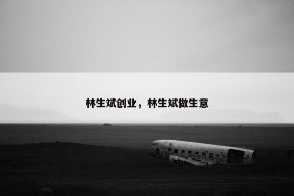 林生斌创业，林生斌做生意