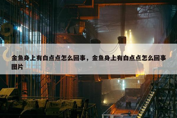 金鱼身上有白点点怎么回事，金鱼身上有白点点怎么回事图片