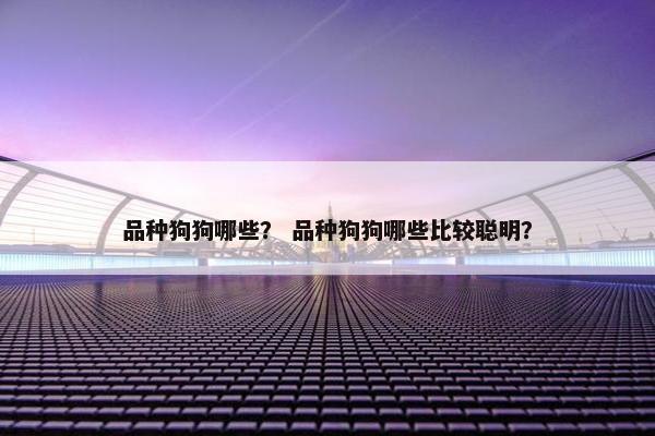 品种狗狗哪些？ 品种狗狗哪些比较聪明？