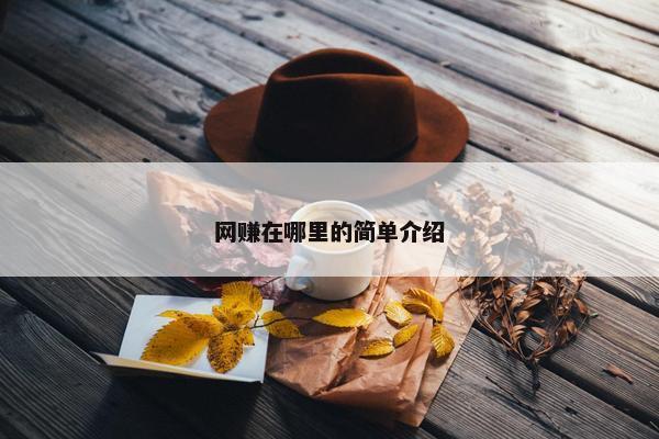 网赚在哪里的简单介绍