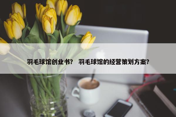 羽毛球馆创业书？ 羽毛球馆的经营策划方案？