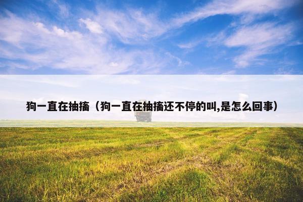 狗一直在抽搐（狗一直在抽搐还不停的叫,是怎么回事）
