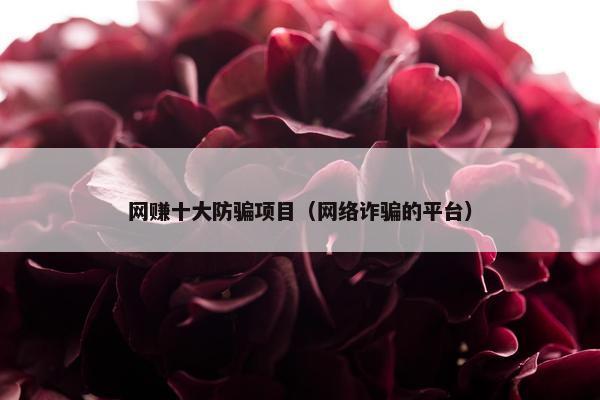 网赚十大防骗项目（网络诈骗的平台）