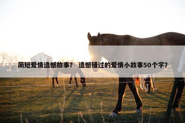 简短爱情遗憾故事？ 遗憾错过的爱情小故事50个字？
