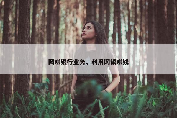 网赚银行业务，利用网银赚钱