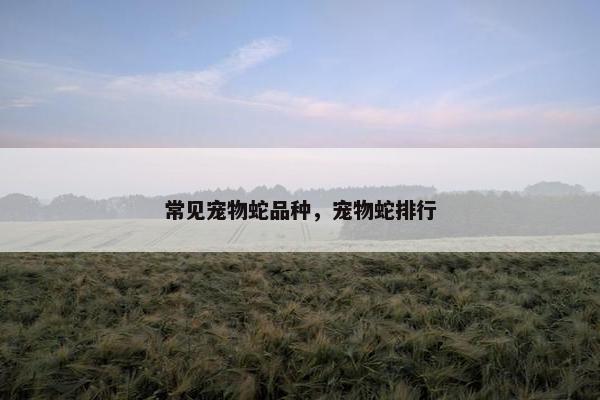 常见宠物蛇品种，宠物蛇排行