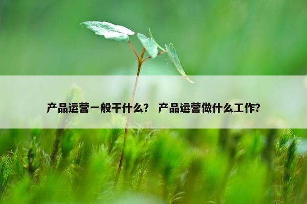产品运营一般干什么？ 产品运营做什么工作？