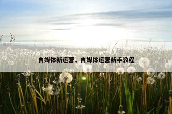 自媒体新运营，自媒体运营新手教程