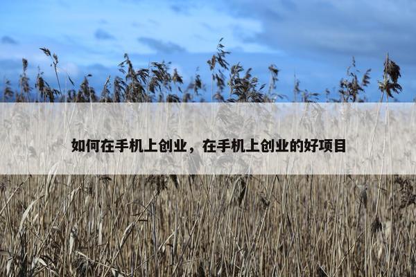 如何在手机上创业，在手机上创业的好项目