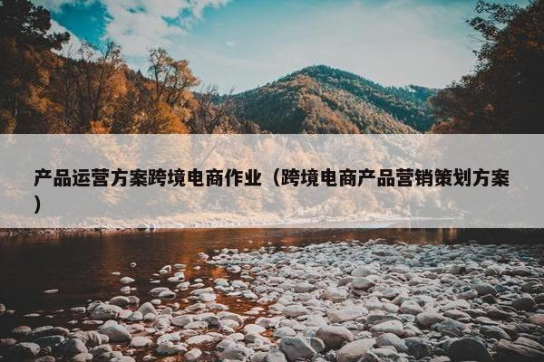 产品运营方案跨境电商作业（跨境电商产品营销策划方案）