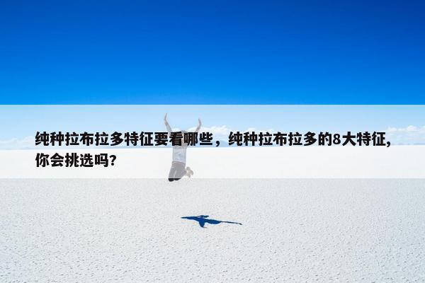 纯种拉布拉多特征要看哪些，纯种拉布拉多的8大特征,你会挑选吗?