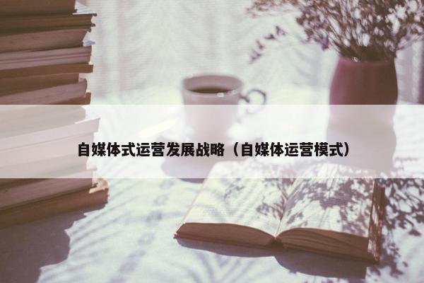自媒体式运营发展战略（自媒体运营模式）
