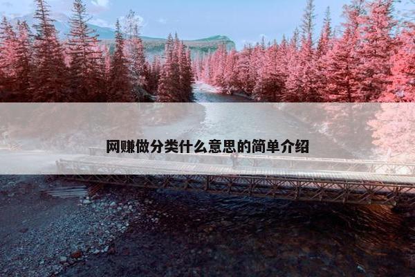 网赚做分类什么意思的简单介绍