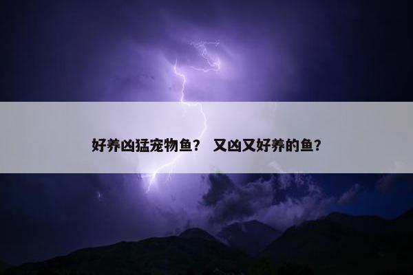 好养凶猛宠物鱼？ 又凶又好养的鱼？