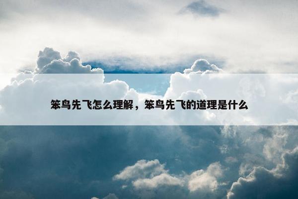 笨鸟先飞怎么理解，笨鸟先飞的道理是什么