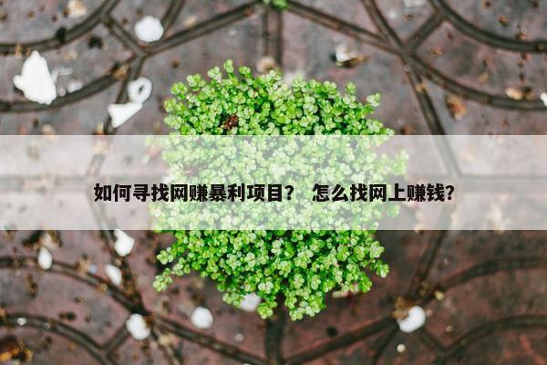 如何寻找网赚暴利项目？ 怎么找网上赚钱？
