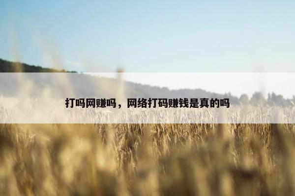 打吗网赚吗，网络打码赚钱是真的吗