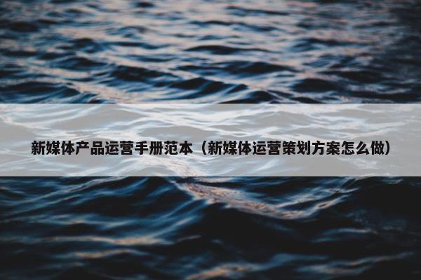 新媒体产品运营手册范本（新媒体运营策划方案怎么做）