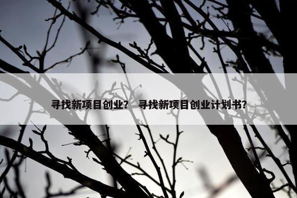 寻找新项目创业？ 寻找新项目创业计划书？
